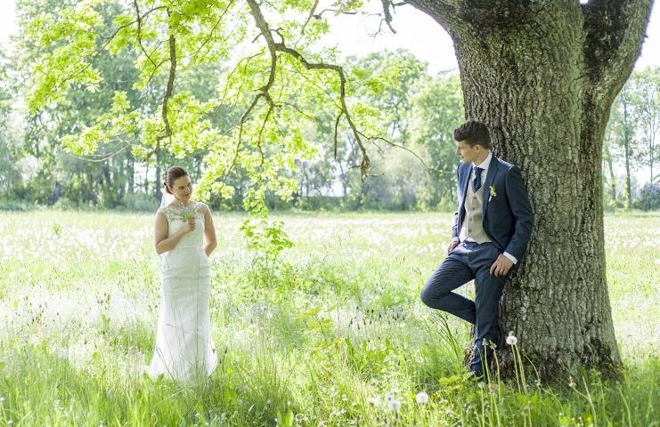 Anija mõisas saad lummatud lihtsuse võlust Anija mõisapargi tammed on tugevad tuules ja tormis