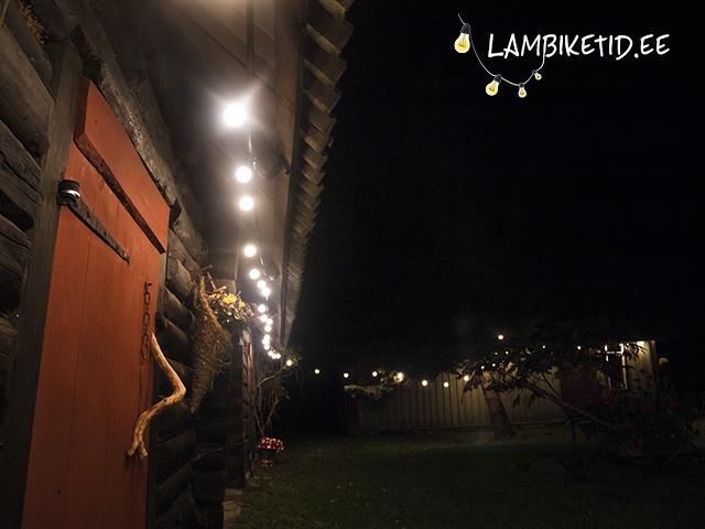 Lambiketid Lambiketid